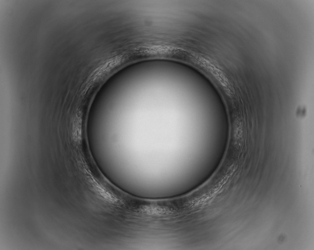 X0000101200633200806271352