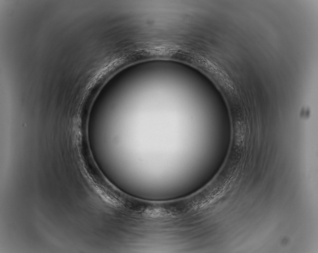 X0000101200634200806271352