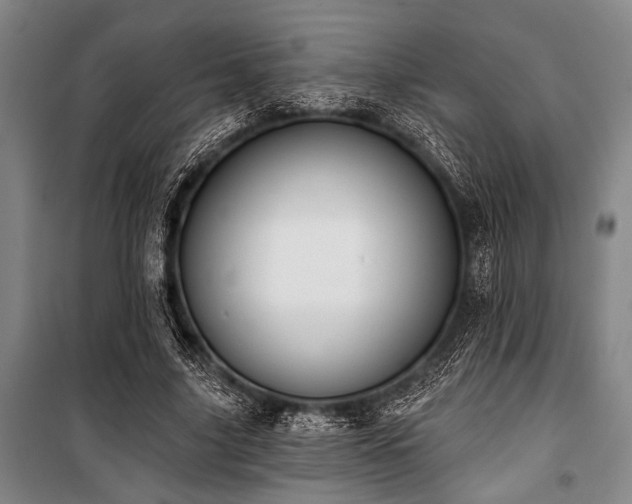 X0000101200635200806271352