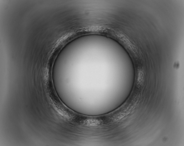 X0000101200636200806271352