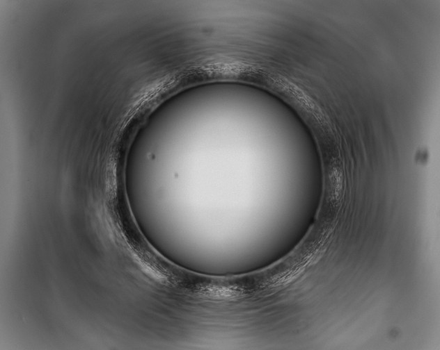 X0000101200638200806271352