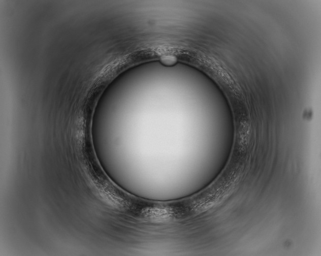 X0000101200639200806271352