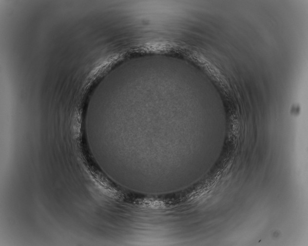 X0000101200640200806271352