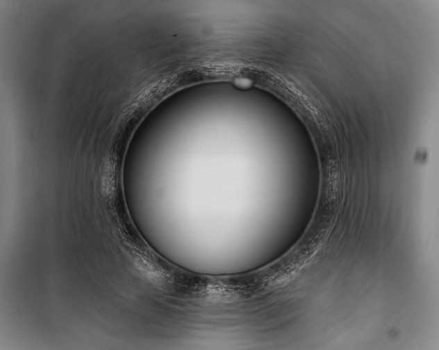 X0000101200641200806271352