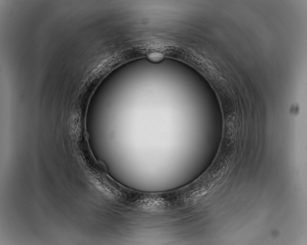 X0000101200642200806271352