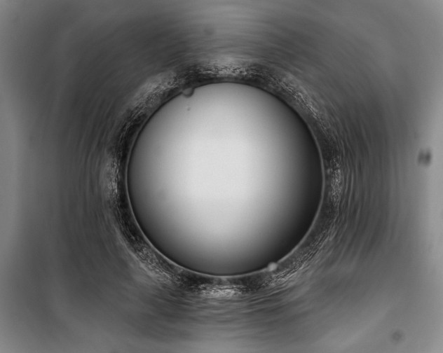 X0000101200643200806271352