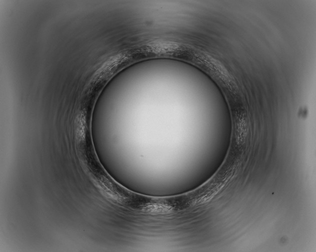 X0000101200644200806271352