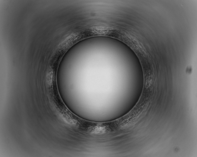 X0000101200647200806271352