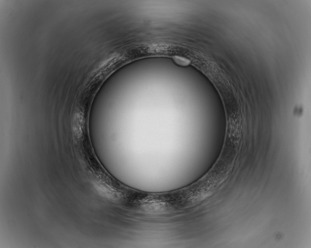 X0000101200648200806271352