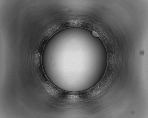 X0000101200649200806271352