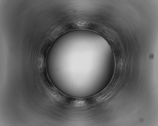 X0000101200651200806271352
