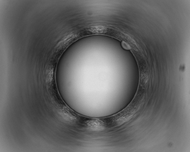 X0000101200652200806271352