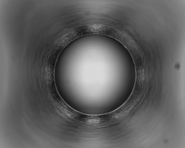X0000101200653200806271352