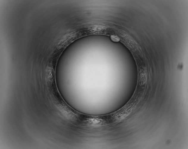 X0000101200654200806271352