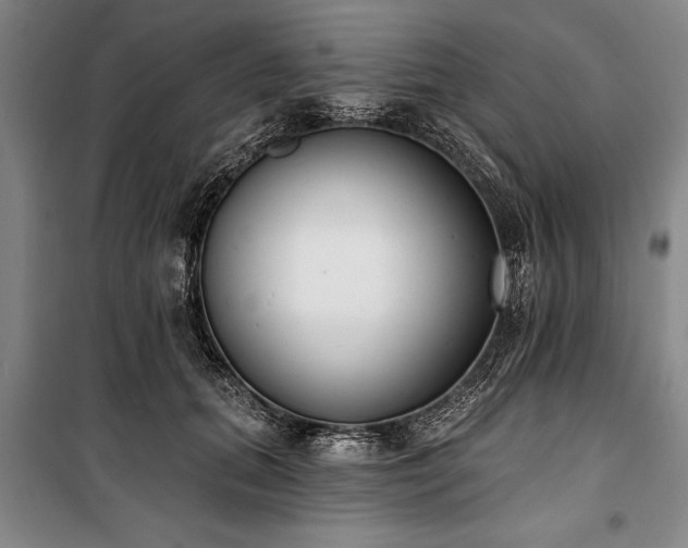 X0000101200655200806271352