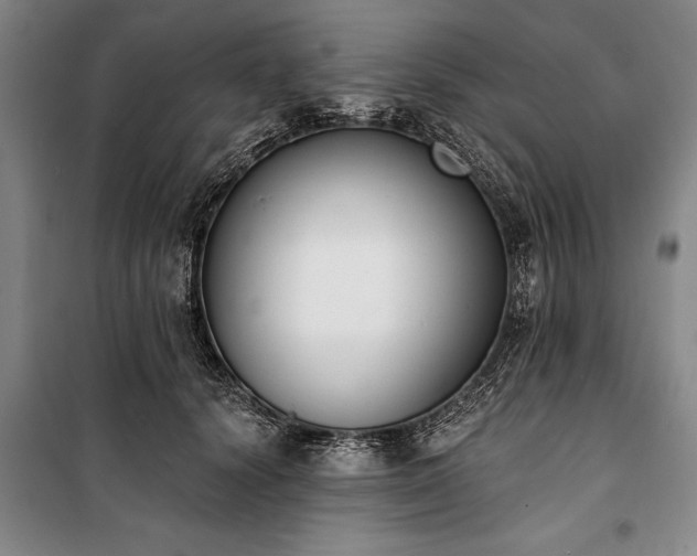 X0000101200656200806271352