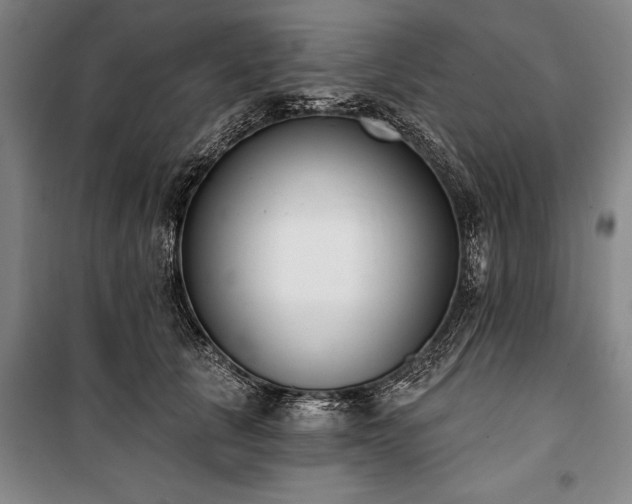 X0000101200657200806271352