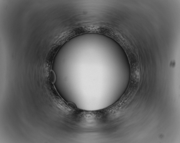 X0000101200658200806271352