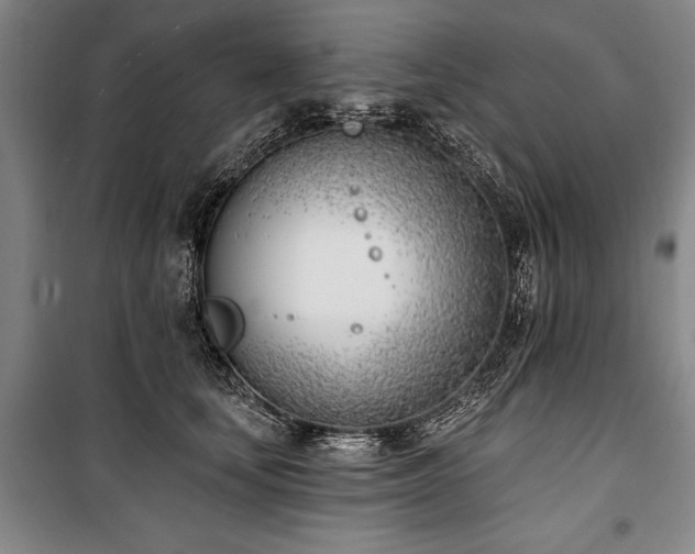 X0000101200659200806271352