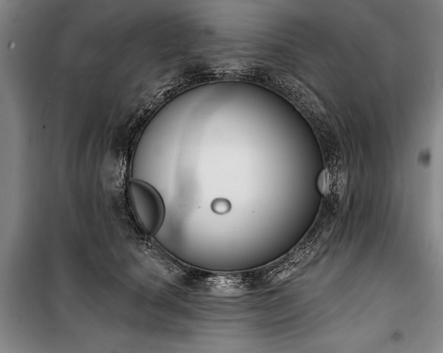 X0000101200660200806271352