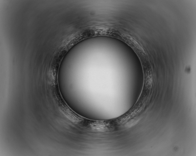 X0000101200661200806271352