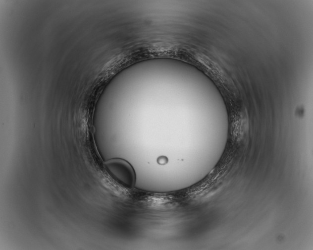 X0000101200662200806271352