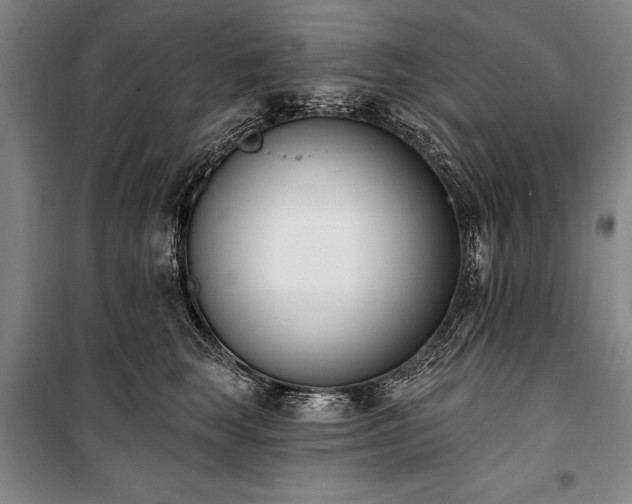 X0000101200663200806271352