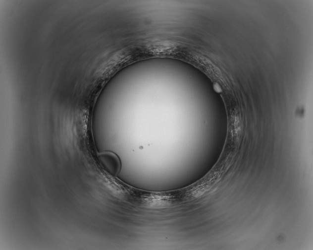 X0000101200664200806271352
