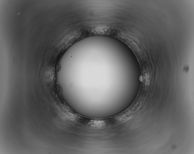 X0000101200665200806271352