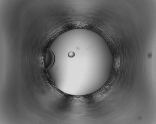 X0000101200666200806271352