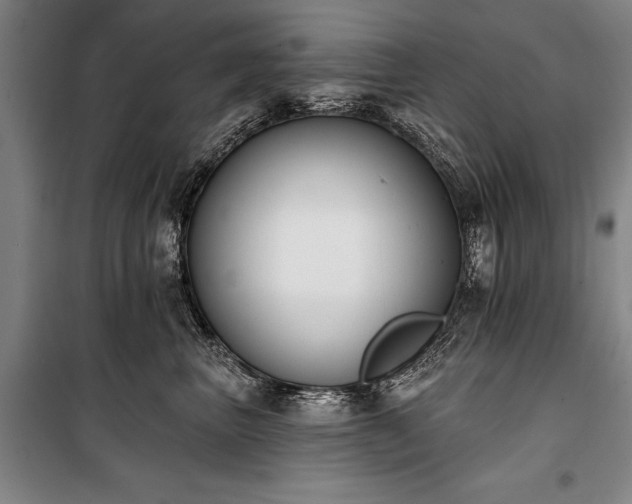 X0000101200667200806271352