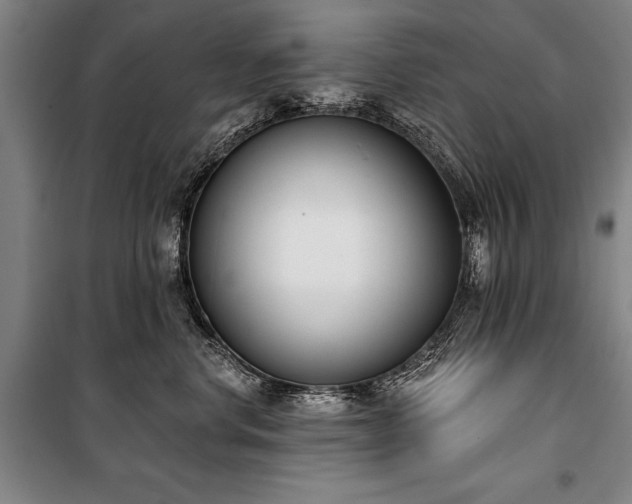 X0000101200668200806271352