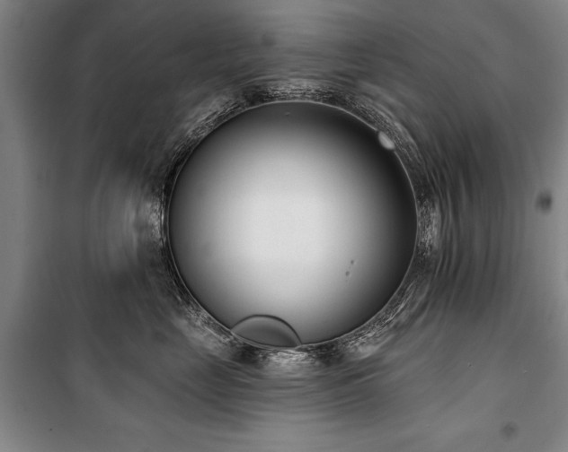 X0000101200669200806271352