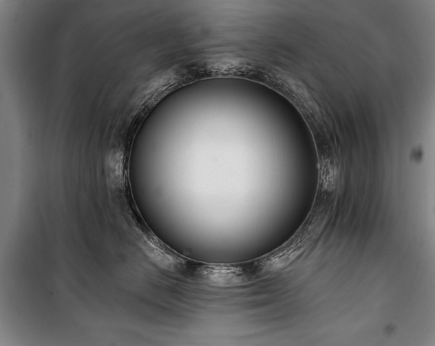 X0000101200670200806271352