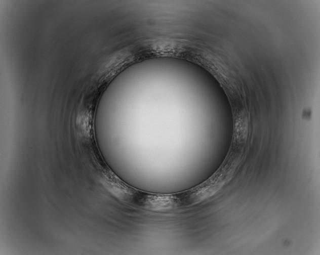X0000101200671200806271352