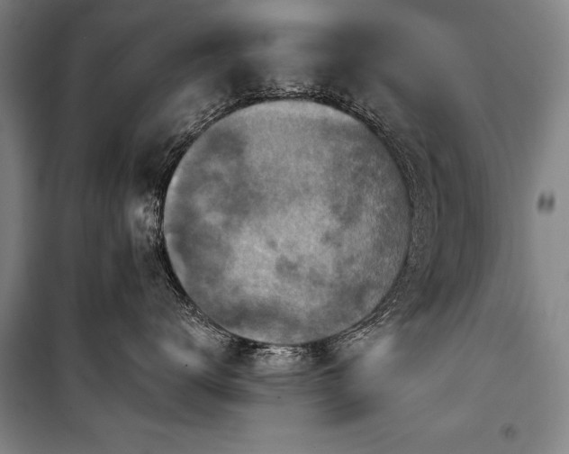 X0000101200672200806271352
