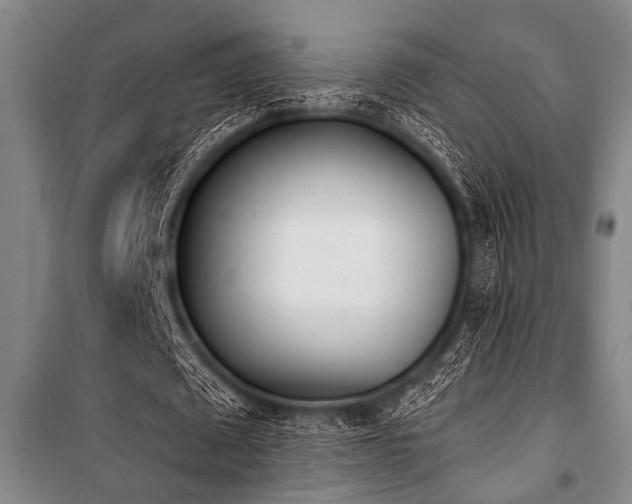 X0000101200673200806271351