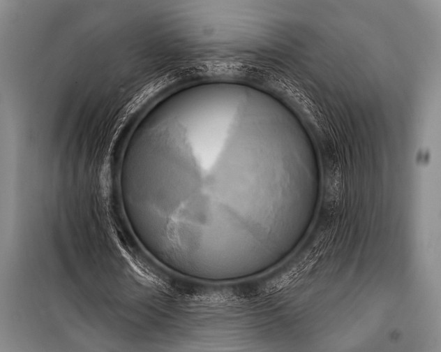 X0000101200674200806271351