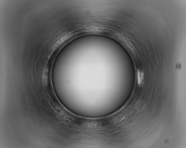 X0000101200675200806271351