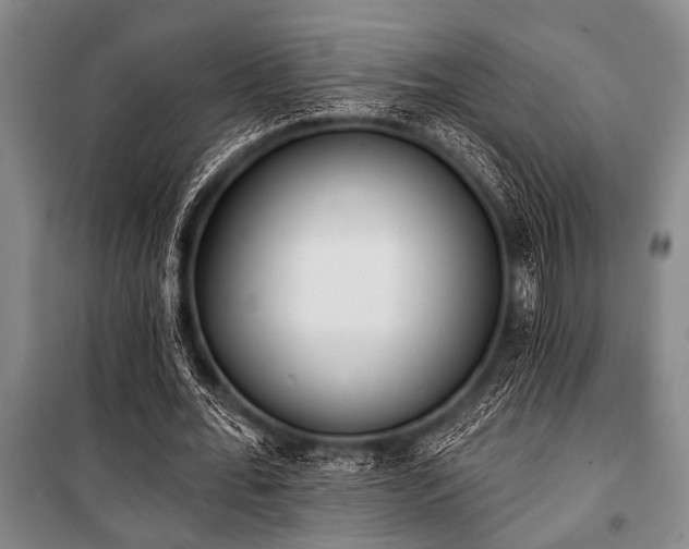 X0000101200676200806271351