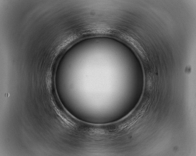 X0000101200677200806271351