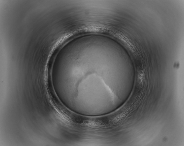 X0000101200678200806271351