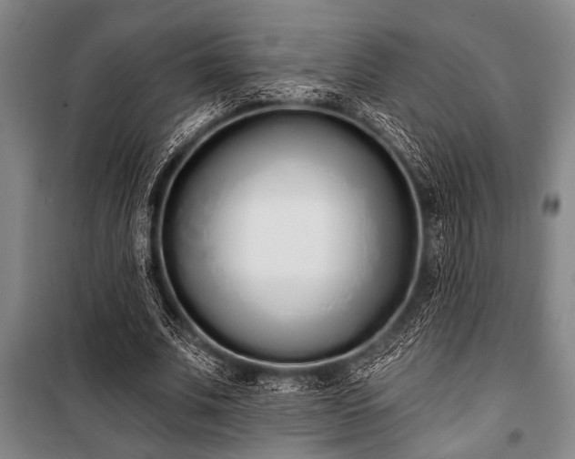 X0000101200679200806271351