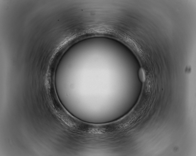 X0000101200680200806271351