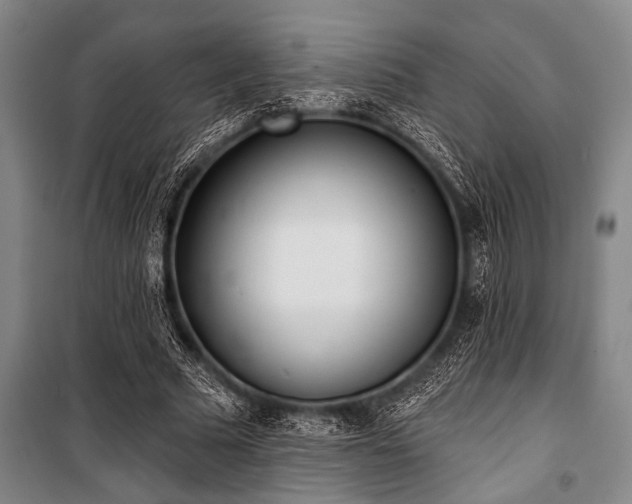 X0000101200681200806271351