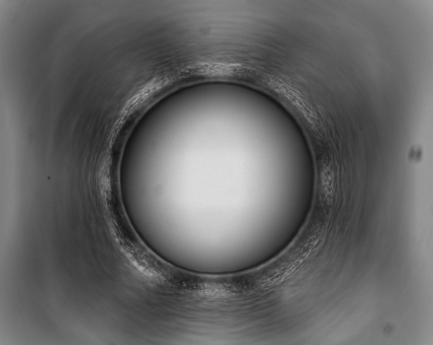 X0000101200682200806271351