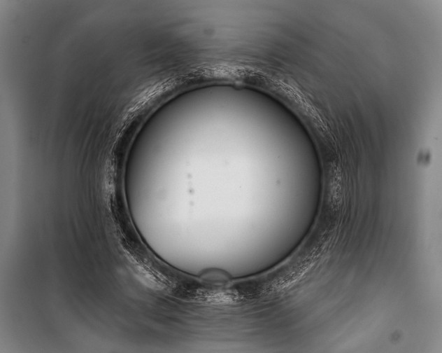 X0000101200683200806271351
