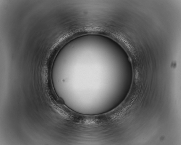 X0000101200684200806271351