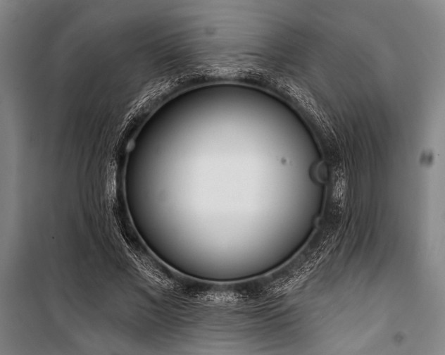 X0000101200685200806271351