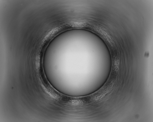 X0000101200686200806271351
